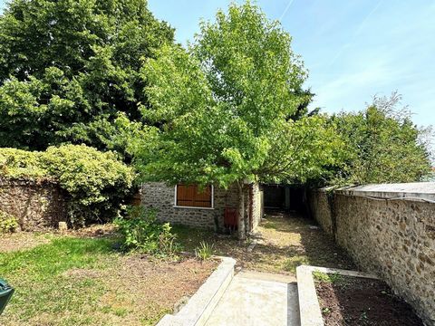 photo no. 18