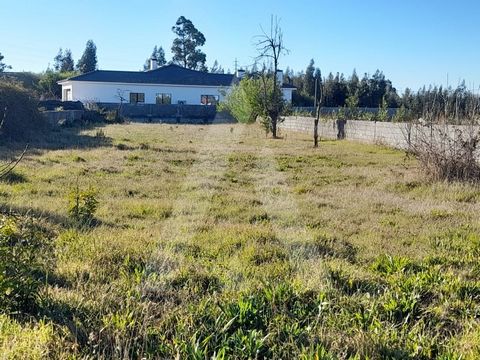 Terreno em Calvão, concelho de Vagos. Com viabilidade para construção de moradia unifamiliar, este terreno dispõe de uma área total de 1890 m2 e conta com 29 metros de frente. Inserido em zona habitacional calma, com boa exposição solar e bons acesso...