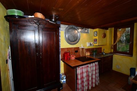 Godetevi le vostre vacanze in questa confortevole casa vacanze, parte di una villa storica che fu residenza estiva del fisico Enrico Fermi. L'ampio ed elegante complesso turistico sorge su una delle colline più belle del Chianti fiorentino, a Rignano...