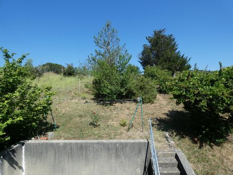 photo no. 11