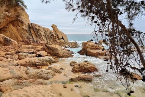 Esta espaciosa villa de 6 dormitorios en Blanes ofrece un refugio cómodo y relajante con capacidad para 13 huéspedes. La propiedad, con una superficie total de 230 m², cuenta con impresionantes vistas al mar y a la montaña, creando el escenario perfe...