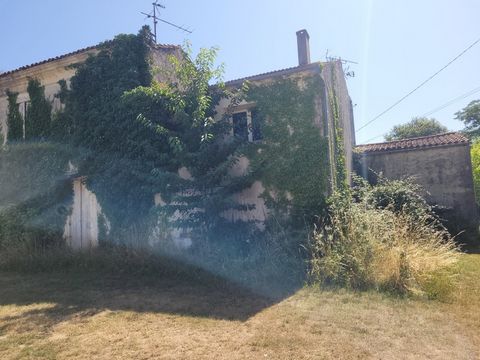 photo no. 1