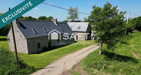 Deux maisons en pierre avec possibilité de gîte