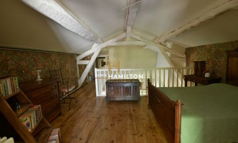 photo no. 8