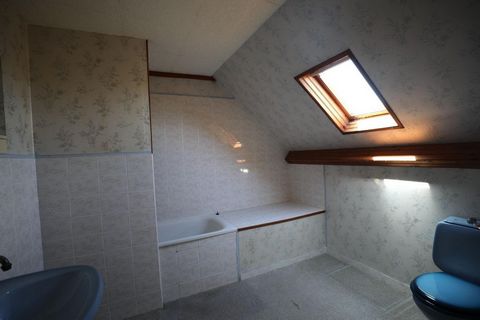photo no. 7