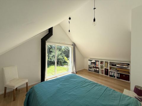 photo no. 17