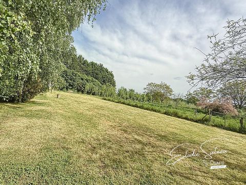 photo no. 16