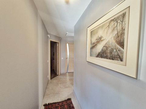 photo no. 10