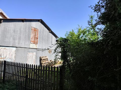 photo no. 2