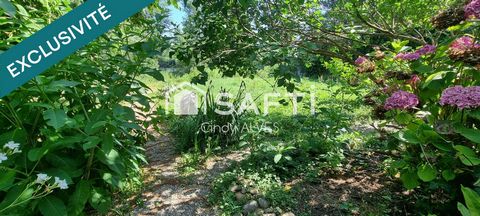 photo no. 13