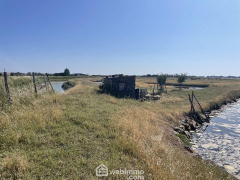 Terrain de loisirs - 0m² - Jard-sur-Mer