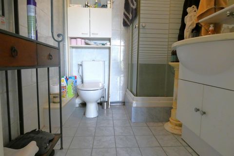 photo no. 6