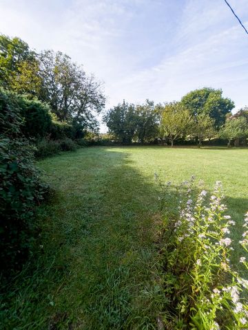 photo no. 3