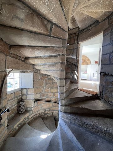photo no. 7