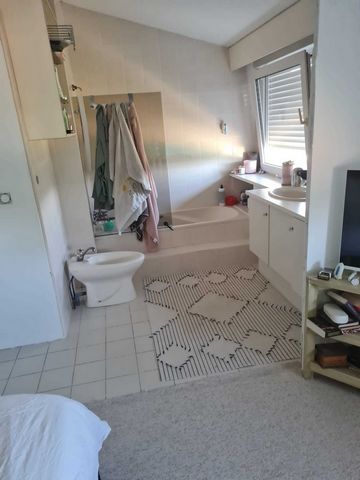 photo no. 14