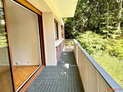 photo no. 11
