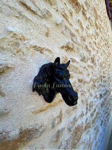 photo no. 19