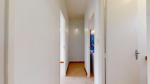 photo no. 7