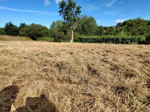 Terrain constructible d'une superficie de 1317 m2 dans une petite commune du littoral