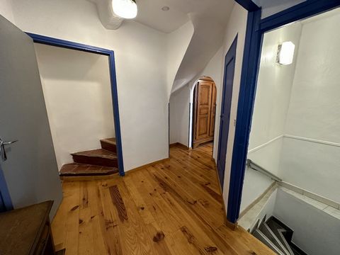 photo no. 11