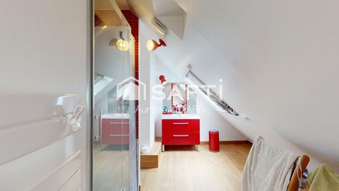photo no. 8