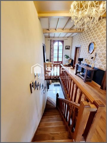 photo no. 11