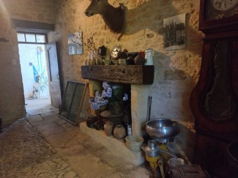photo no. 17