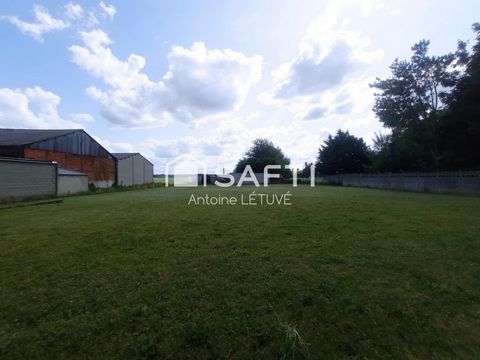 photo no. 16