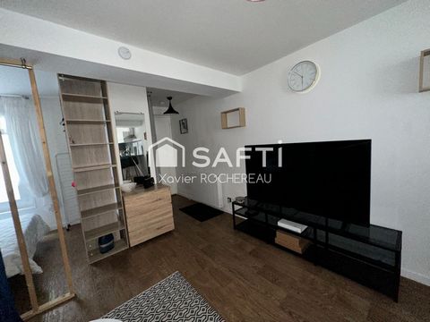 photo no. 12