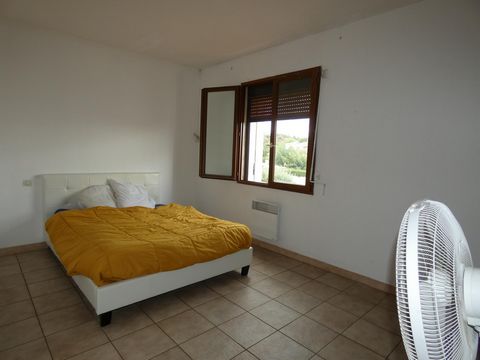 photo no. 10