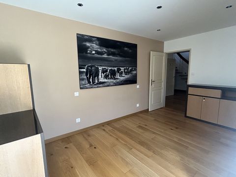 photo no. 6