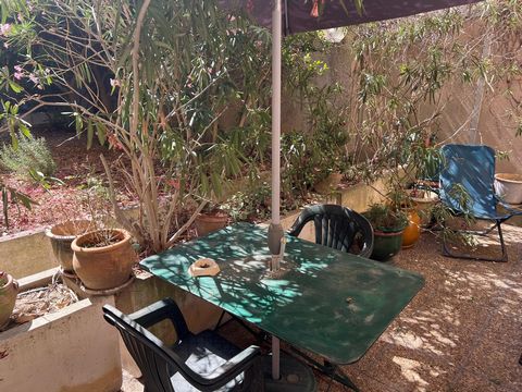 photo no. 11
