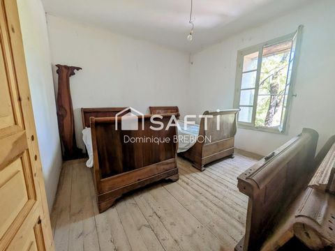 photo no. 15