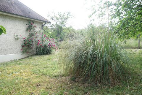 photo no. 16