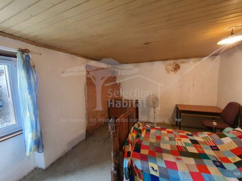 photo no. 12