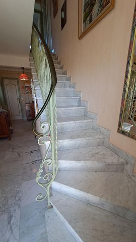 photo no. 6