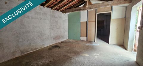 photo no. 14