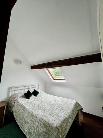 photo no. 16