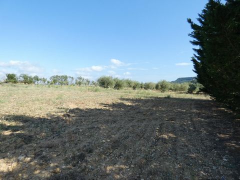 photo no. 1