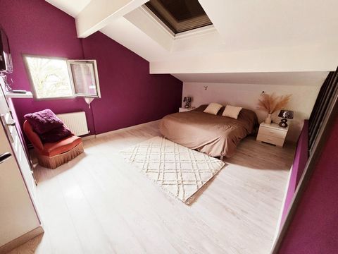 photo no. 13