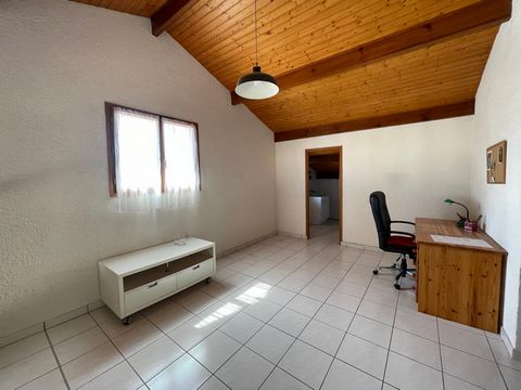 photo no. 6