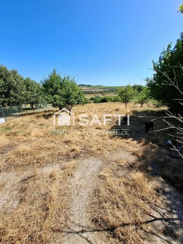 photo no. 13