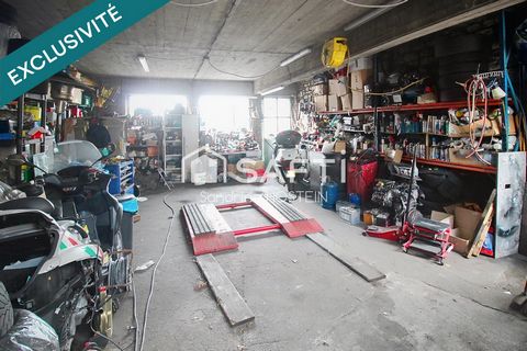 photo no. 10