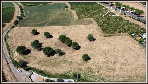 Terrain à vendre de 901 proche de ROUJAN (34)