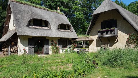 photo no. 2