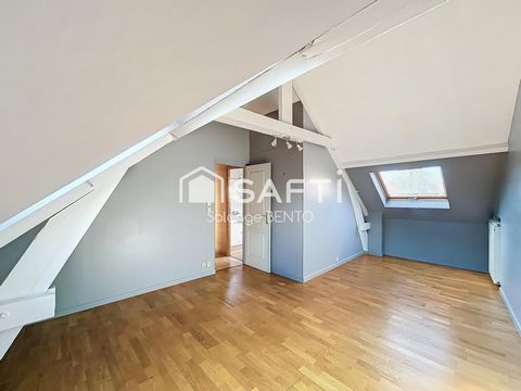 photo no. 10