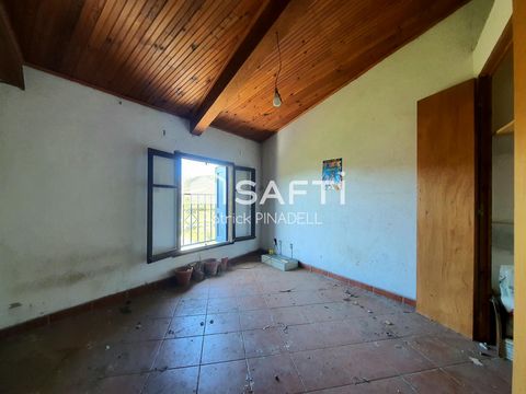photo no. 3
