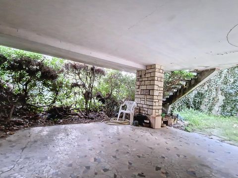 photo no. 9