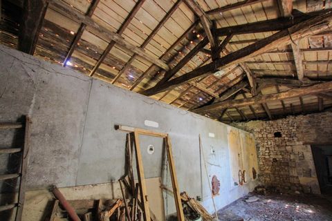 photo no. 3