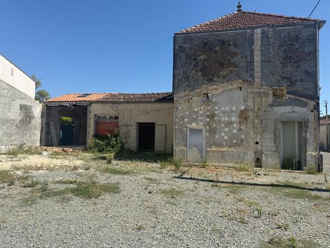photo no. 11